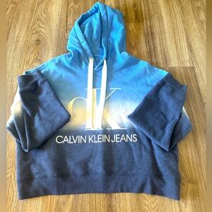 Calvin Klein Blue Ombré Hoodie